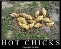 hotchicks playing in the mud