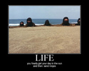 life sandninjas