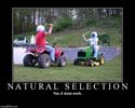 natural selection