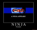 ninja they appear