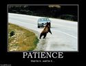 patience