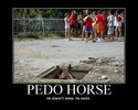 pedo horse