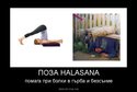 poza halasana