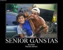 senior ganstas