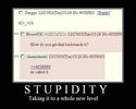 stupidity