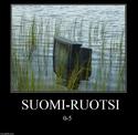 suomi ruotsi