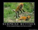 surprise-buttsex