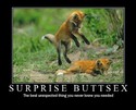 surprise buttsex