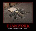 teamwork 1