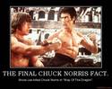 the final chuck norris fact