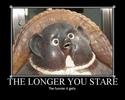 the longer you stare