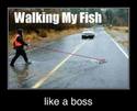 walking my fish