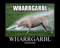 wharrgarbl