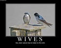 wives