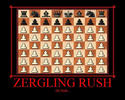 zergling rush