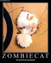 zombie cat2