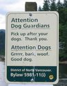 attention dogs