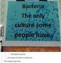 bacteria-the only culture