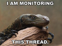 i am monitoring