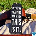 if you are waiting for a sign