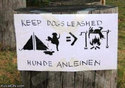 keep dogs leashed