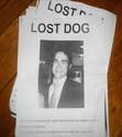 lost dog