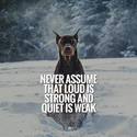 loud is not strong
