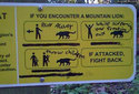 mountain lion sign