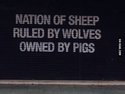 nation of sheep