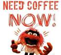 need coffee now