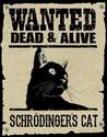 schroedingers cat death and alive