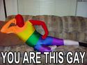 you are this gay