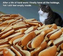 you have all the hotdogs