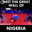 table tennis-the great wall of nigeria