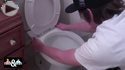 cool toilet prank