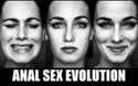 anal sex evolution