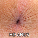 hd anus