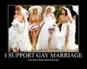 i support gay marriage