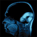 male brain x-ray