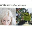 what you see what she sees