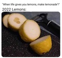 2022 lemons