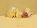 anne geddes 02