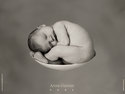 anne geddes 03