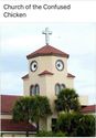 church of the confused chicken