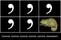 comma comma chameleon