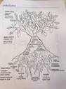 cultural tree