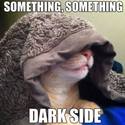 dark side cat