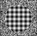 do you see movement