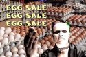 egg sale egg sale