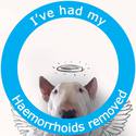 haemorrhoids removed pride